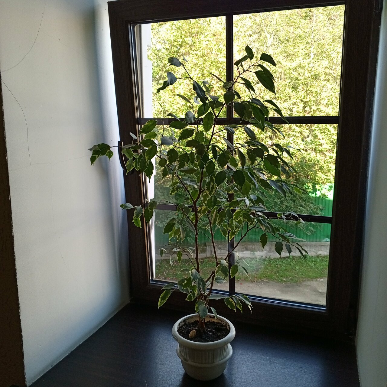 Гостиница Тройка Переславль-Залесский-89