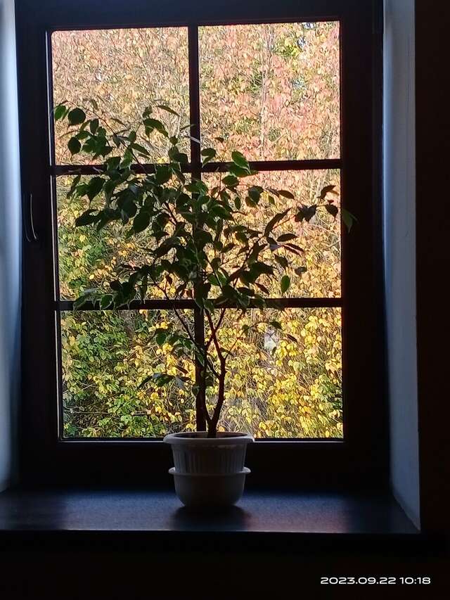 Гостиница Тройка Переславль-Залесский-158